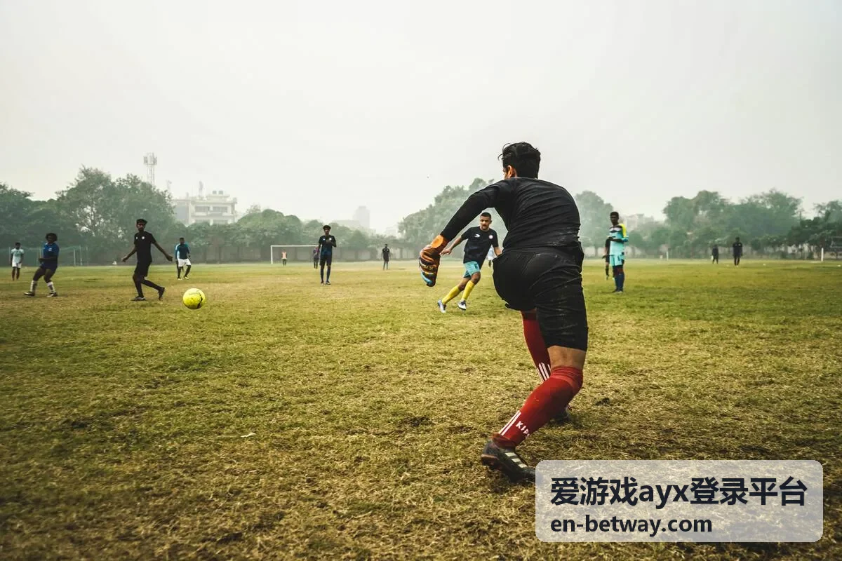 爱游戏ayx登录平台扫码登录确认界面