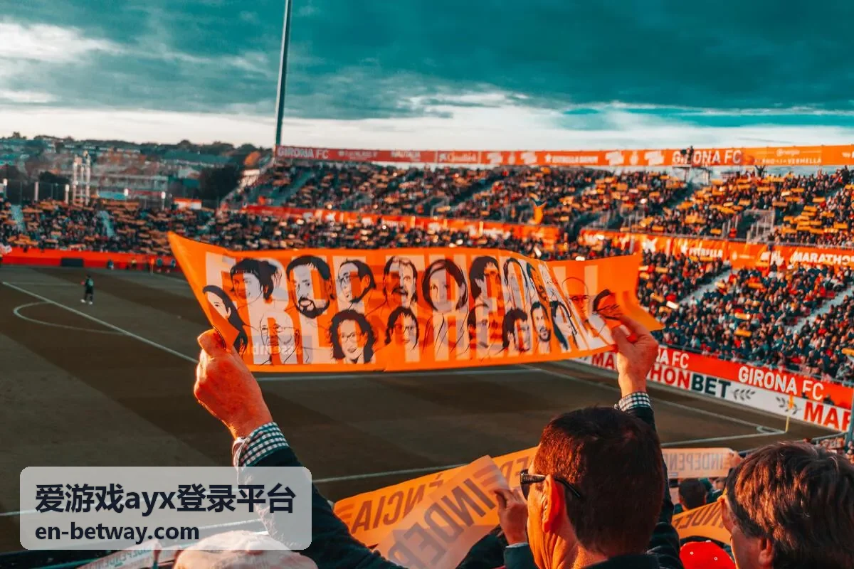 爱游戏ayx登录平台版本更新与资源管理界面