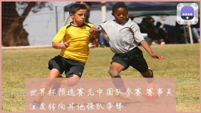世界杯预选赛无中国队参赛 赛事关注度转向其他强队争锋
