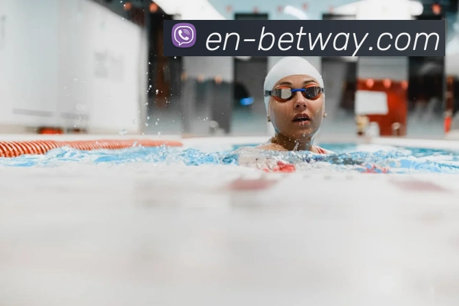 mksports体育平台生态图