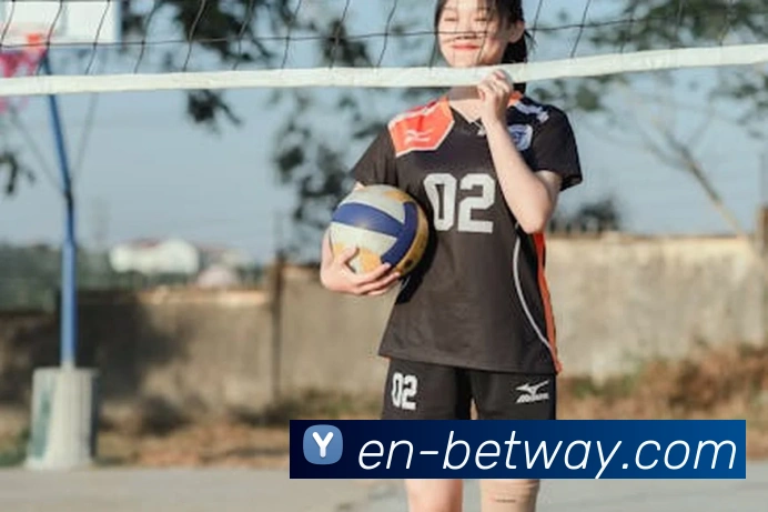 世界杯网上购票平台平台生态图